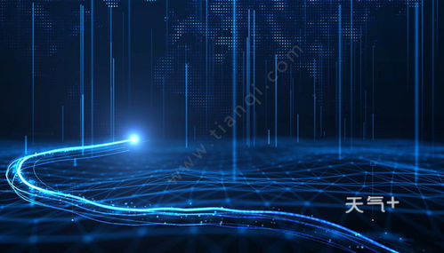 電子商務(wù)的專(zhuān)業(yè)類(lèi)別與行業(yè)歸屬探究